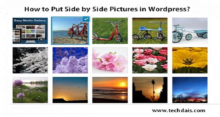 How to Put Side by Side Pictures in WordPress?